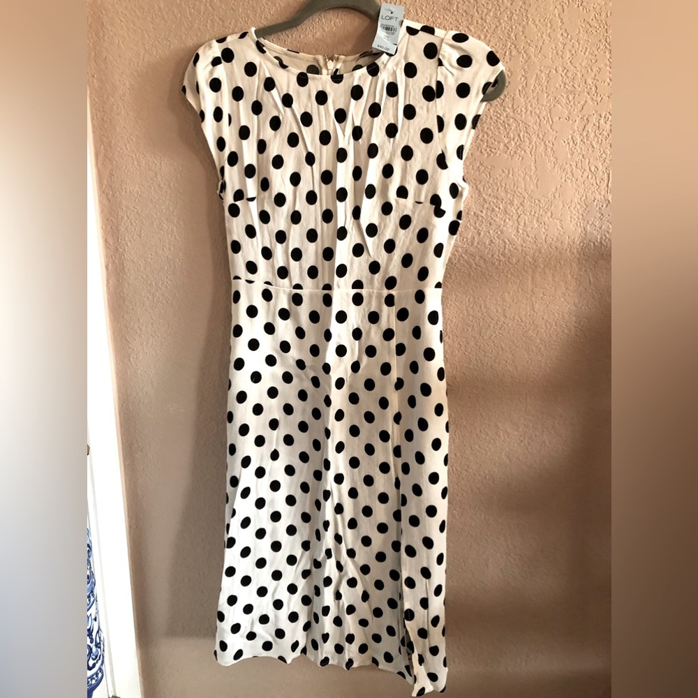 New (still has tags!) Loft polka dot dress